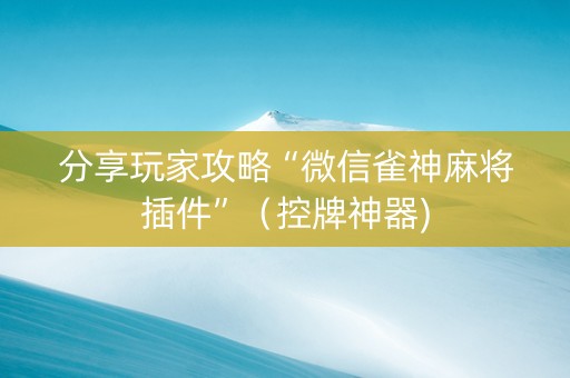 分享玩家攻略“微信雀神麻将插件”（控牌神器)
