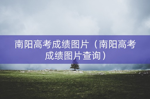 南阳高考成绩图片（南阳高考成绩图片查询）