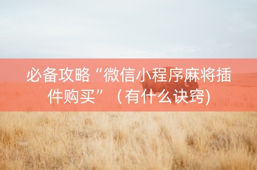 必备攻略“微信小程序麻将插件购买”（有什么诀窍)