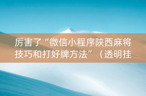 厉害了“微信小程序陕西麻将技巧和打好牌方法”（透明挂辅助器)