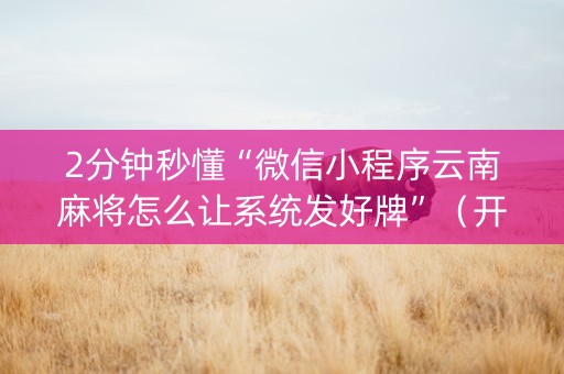 2分钟秒懂“微信小程序云南麻将怎么让系统发好牌”（开挂辅助插件)