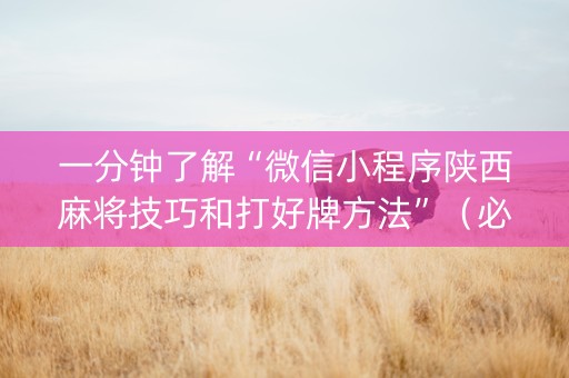 一分钟了解“微信小程序陕西麻将技巧和打好牌方法”（必赢神器免费安装)