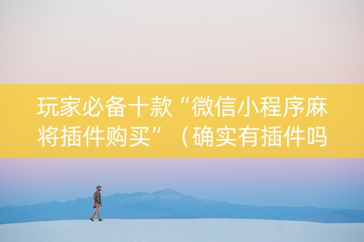 玩家必备十款“微信小程序麻将插件购买”（确实有插件吗)