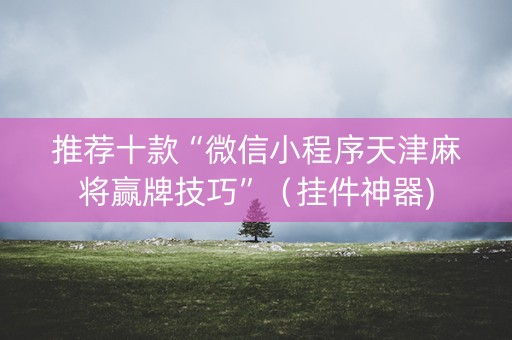 推荐十款“微信小程序天津麻将赢牌技巧”（挂件神器)