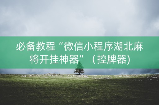 必备教程“微信小程序湖北麻将开挂神器”（控牌器)