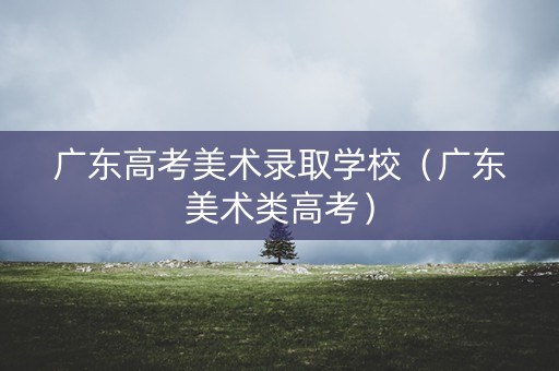 广东高考美术录取学校（广东美术类高考）