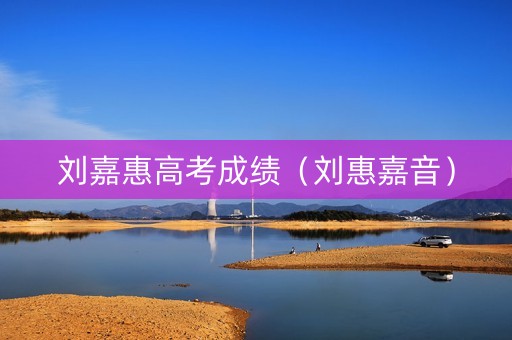 刘嘉惠高考成绩（刘惠嘉音）