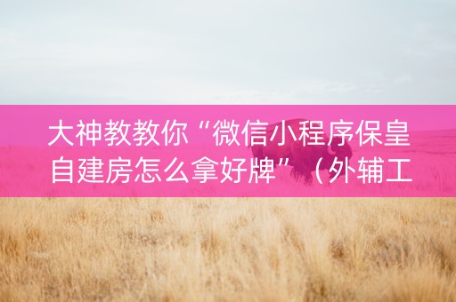 大神教教你“微信小程序保皇自建房怎么拿好牌”（外辅工具)
