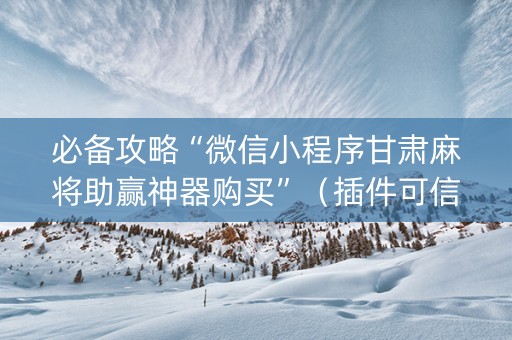 必备攻略“微信小程序甘肃麻将助赢神器购买”（插件可信吗)