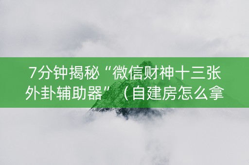 7分钟揭秘“微信财神十三张外卦辅助器”（自建房怎么拿好牌)
