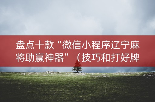 盘点十款“微信小程序辽宁麻将助赢神器”（技巧和打好牌方法)