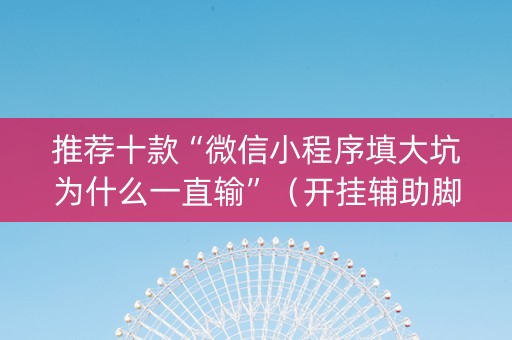 推荐十款“微信小程序填大坑为什么一直输”（开挂辅助脚本)