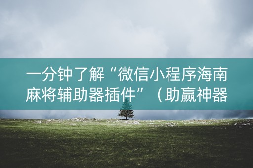 一分钟了解“微信小程序海南麻将辅助器插件”（助赢神器)