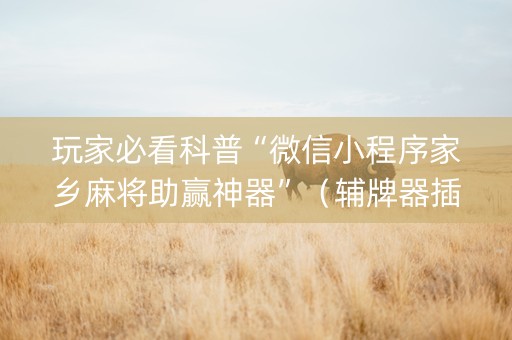 玩家必看科普“微信小程序家乡麻将助赢神器”（辅牌器插件购买)