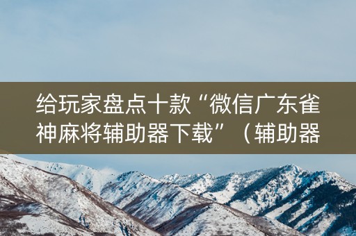 给玩家盘点十款“微信广东雀神麻将辅助器下载”（辅助器插件)