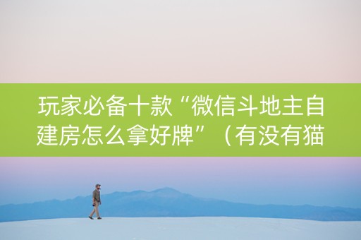 玩家必备十款“微信斗地主自建房怎么拿好牌”（有没有猫腻)