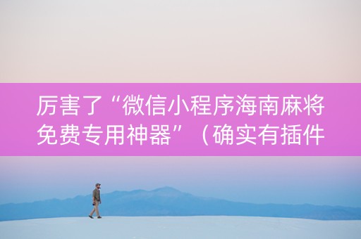 厉害了“微信小程序海南麻将免费专用神器”（确实有插件吗)