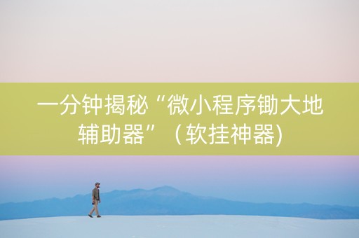 一分钟揭秘“微小程序锄大地辅助器”（软挂神器)