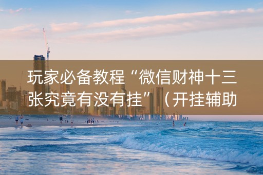 玩家必备教程“微信财神十三张究竟有没有挂”（开挂辅助器插件)