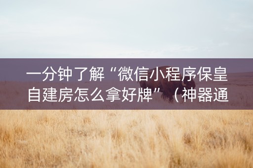 一分钟了解“微信小程序保皇自建房怎么拿好牌”（神器通用版)