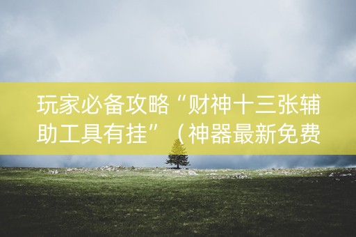 玩家必备攻略“财神十三张辅助工具有挂”（神器最新免费)