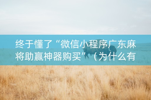 终于懂了“微信小程序广东麻将助赢神器购买”（为什么有人一直赢)