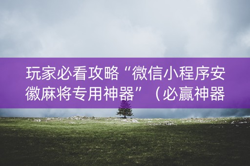 玩家必看攻略“微信小程序安徽麻将专用神器”（必赢神器辅助器)