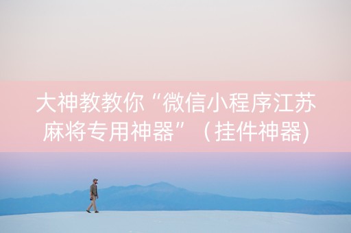 大神教教你“微信小程序江苏麻将专用神器”（挂件神器)