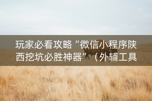玩家必看攻略“微信小程序陕西挖坑必胜神器”（外辅工具)