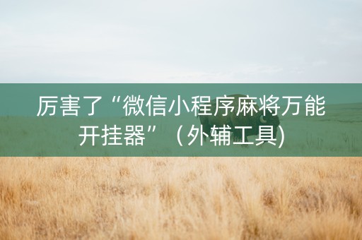 厉害了“微信小程序麻将万能开挂器”（外辅工具)