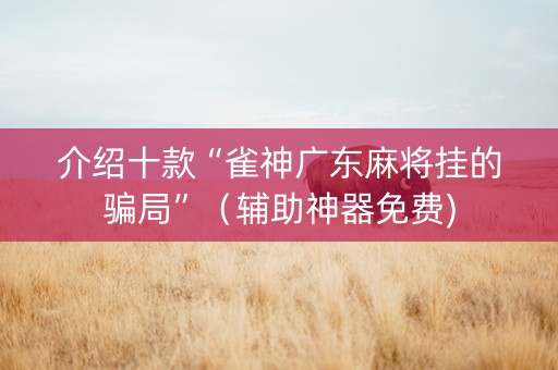 介绍十款“雀神广东麻将挂的骗局”（辅助神器免费)