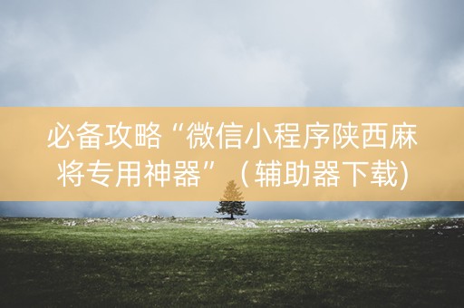 必备攻略“微信小程序陕西麻将专用神器”（辅助器下载)