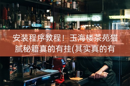 安装程序教程！玉海楼茶苑猫腻秘籍真的有挂(其实真的有挂)