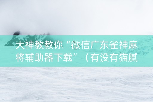 大神教教你“微信广东雀神麻将辅助器下载”（有没有猫腻)