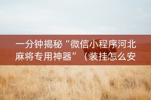 一分钟揭秘“微信小程序河北麻将专用神器”（装挂怎么安装)