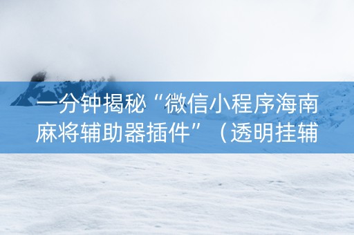 一分钟揭秘“微信小程序海南麻将辅助器插件”（透明挂辅助器)