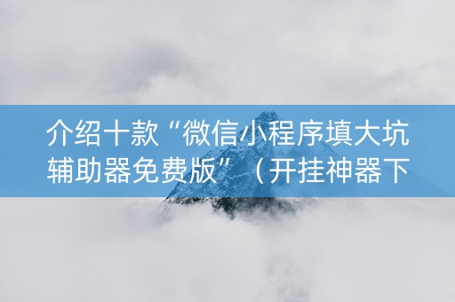 介绍十款“微信小程序填大坑辅助器免费版”（开挂神器下载)