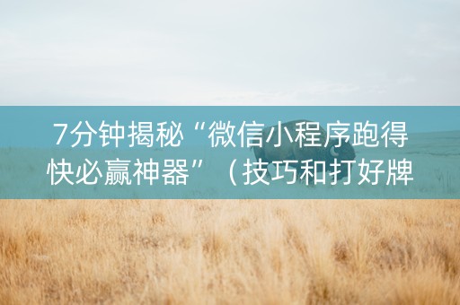 7分钟揭秘“微信小程序跑得快必赢神器”（技巧和打好牌方法)