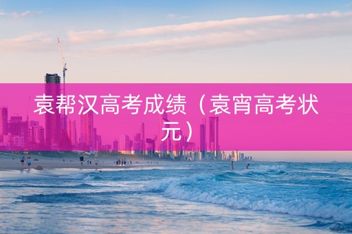 袁帮汉高考成绩（袁宵高考状元）