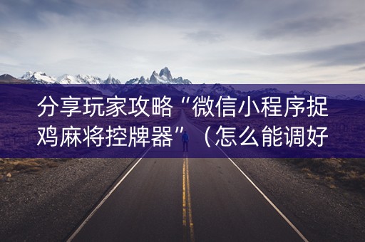 分享玩家攻略“微信小程序捉鸡麻将控牌器”（怎么能调好牌)