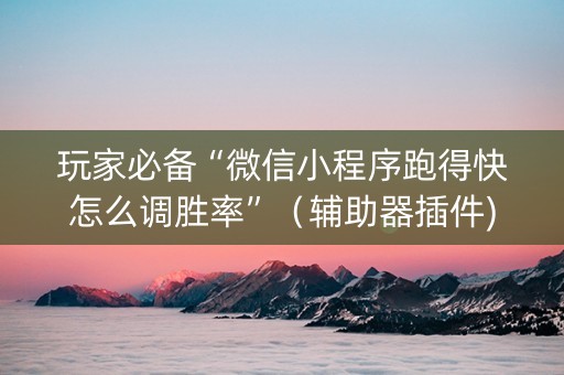 玩家必备“微信小程序跑得快怎么调胜率”（辅助器插件)