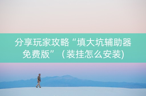 分享玩家攻略“填大坑辅助器免费版”（装挂怎么安装)