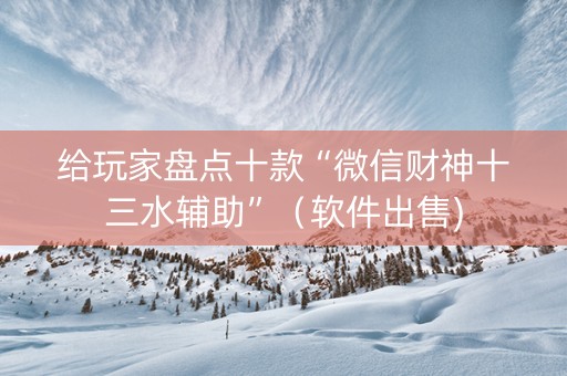 给玩家盘点十款“微信财神十三水辅助”（软件出售)
