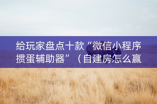 给玩家盘点十款“微信小程序掼蛋辅助器”（自建房怎么赢)