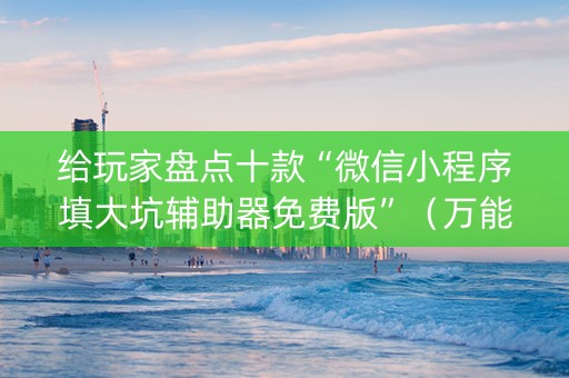 给玩家盘点十款“微信小程序填大坑辅助器免费版”（万能开挂神器)