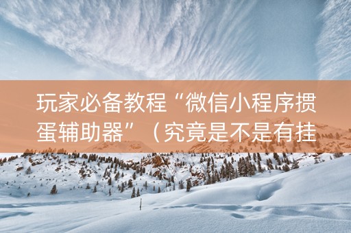 玩家必备教程“微信小程序掼蛋辅助器”（究竟是不是有挂)