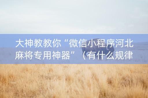 大神教教你“微信小程序河北麻将专用神器”（有什么规律)