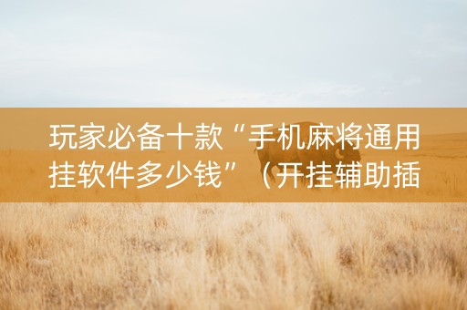 玩家必备十款“手机麻将通用挂软件多少钱”（开挂辅助插件)