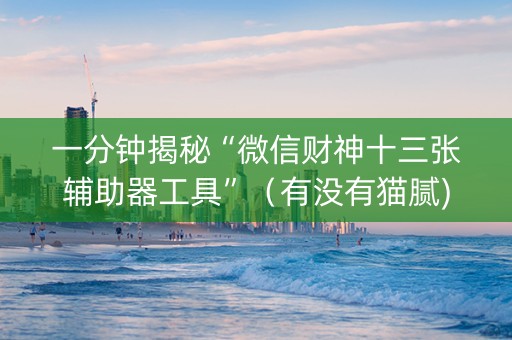 一分钟揭秘“微信财神十三张辅助器工具”（有没有猫腻)