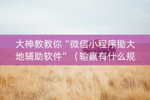 大神教教你“微信小程序锄大地辅助软件”（输赢有什么规律)